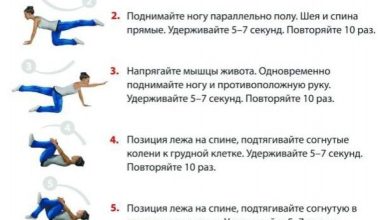 Photo of Топ-5 упражнений для спины