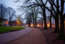 Photo of Отдых в парке: заряд энергии