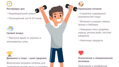 Photo of «Принципы спортивного питания для начинающих»