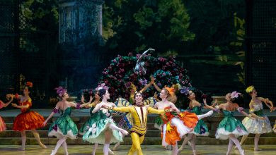 Photo of Уникальная возможность для балетных артистов в Москве